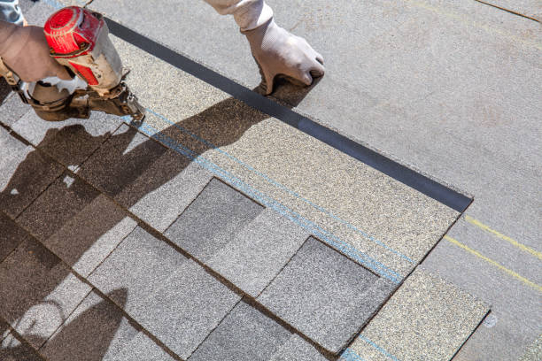 Best New Roof Installation  in Zephyrhills North, FL